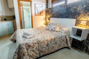 1 dormitorio con 1 cama y TV. en Estancia Dacil, en La Orotava