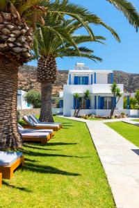 a row of chaise lounges under palm trees in front of a house at KALYPSO ACCOMMODATION SIFNOS in Vathi