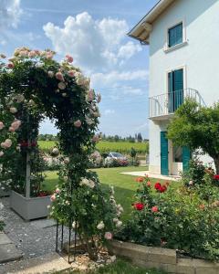 Zahrada ubytování ROSETO HOLIDAYS AZZURRO