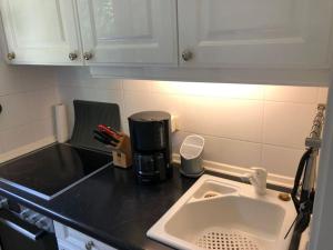 um balcão de cozinha com um lavatório e comodidades para preparar café em Ferienwohnung WanderSchön em Sasbachwalden