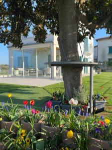 Zahrada ubytování ROSETO HOLIDAYS AZZURRO