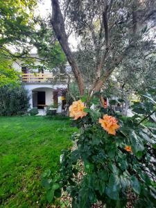 Fotografia z galérie ubytovania Villa Neroli v destinácii Krk