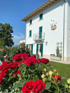 Biały budynek z czerwonymi różami przed nim w obiekcie ROSETO HOLIDAYS AZZURRO w mieście Cavalcaselle