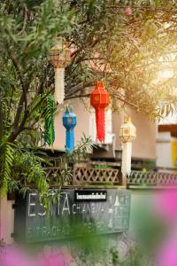 a group of bird cages hanging from a tree at Estia Chiangmai -SHA Plus in Chiang Mai