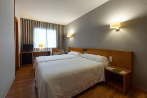 Cette chambre comprend un grand lit et un bureau. dans l'établissement Hotel Borrell, à Olot