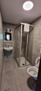 a bathroom with a shower and a sink and a toilet at Hôtel des Portes du Soleil in Les Crosets