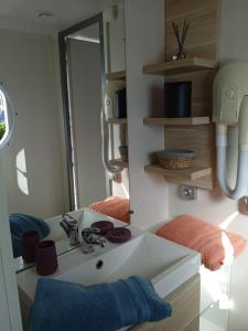 - une salle de bains avec lavabo dans une petite maison dans l'établissement Mobil home-Les Lins Bleus, à Biville-sur-Mer