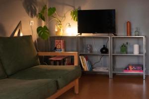 デュースブルクにあるnew design apartmentのリビングルーム(緑のソファ、テレビ付)