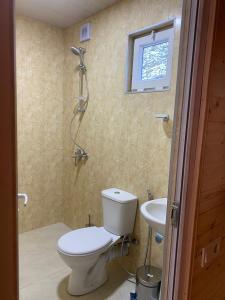 a bathroom with a toilet and a sink at Chalet Rivier • შალე რივიერ in K'eda