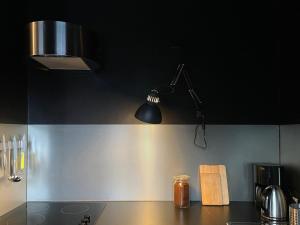una cucina con una luce appesa al soffitto di new design apartment a Duisburg