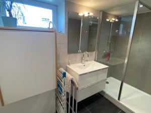 a bathroom with a sink and a shower at Centre superbe appt 6 personnes avec terrasse classé 3 étoiles in La Bresse