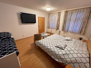 um quarto com uma cama e uma televisão de ecrã plano em Hotel Bielatal em Olbernhau