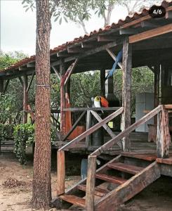 un pájaro sentado en la parte superior de una estructura de madera en Spot Jaguar Pantanal South- Camping Wild Jaguar Tour, en Corumbá