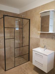 bagno con doccia in vetro e lavandino di TEREC HAUS a Bruckneudorf