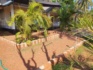 a garden with palm trees in front of a house at Saxony Village Resort in Agonda