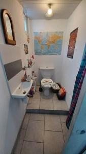 a small bathroom with a toilet and a sink at Agréable maison de pêcheur, proche île d'Oléron in Bourcefranc