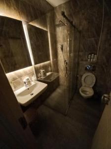 a bathroom with a sink and a shower and a toilet at Asuka Apartmani 飞鸟客 in Surčin