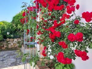 Zahrada ubytování FINCA LOS MELEROS Andalucian farmhouse set in its own land with beautiful terraces, garden & pool.