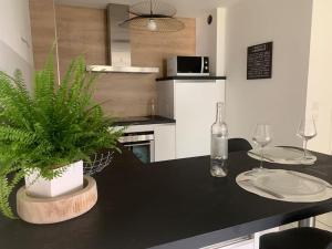 uma cozinha com uma mesa com uma planta em Le Wizz : appart cosy entre lac et montagne em Saint-Jorioz