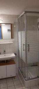 a bathroom with a shower and a sink at Ferienwohnung in Nesselwang, Allgäu Bergfreunde in Nesselwang