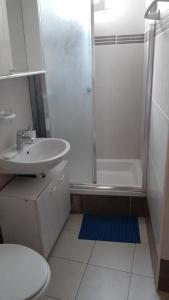 La salle de bains est pourvue d'une douche, d'un lavabo et de toilettes. dans l'établissement Apartment Dijana, à Primošten