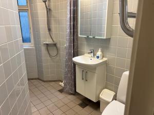 a bathroom with a sink and a shower and a toilet at Hotel 9 små hjem in Copenhagen