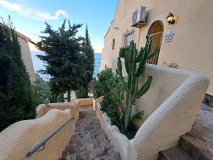 a stairway with a cactus in front of a building at la ventana al mar in Jávea