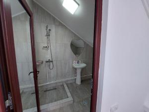 コスティネシュティにあるIonelaのバスルーム(シャワー、シンク付)