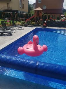 een roze opblaasbaar vlot in een zwembad bij Willa Cicha in Rabka