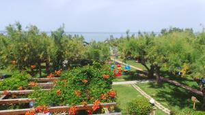 an aerial view of a garden with flowers and trees at Fiore Beach Studios in Vasilikos