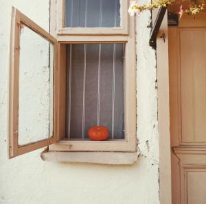 的住宿－Oko Jastrepca，坐在窗台上的橙色南瓜