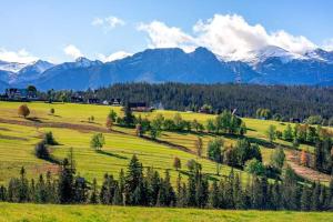 un campo verde con árboles y montañas al fondo en Dom na Brzyzku en Poronin