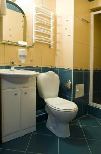 a bathroom with a toilet and a sink at Hotel Kresowianka in Bydgoszcz