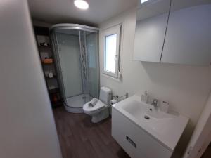 e bagno con doccia, servizi igienici e lavandino. di Chalet and Apartment Žonir with SAUNA a Kobarid