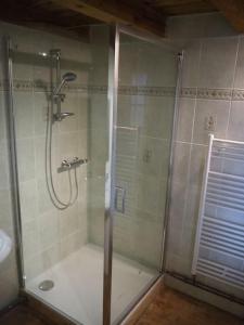 y baño con ducha y puerta de cristal. en Two Hoots - farmhouse with summer pool., en Châteauponsac