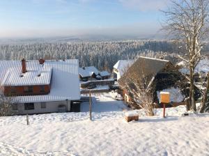 un patio cubierto de nieve con una casa y árboles en Ferienwohnung zur Alten Schmiede, en Lenzkirch
