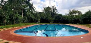 a large swimming pool in a yard with trees at Tusubira village in Jinja