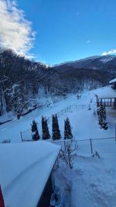 a snow covered field with trees and a fence at Villa Jelena Mavrovo in Mavrovo