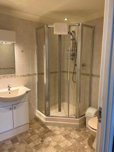 a bathroom with a shower and a sink and a toilet at Chy Lowen - Atlantic Reach in Newquay