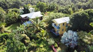 an aerial view of a house in the jungle at Jacoway Inn in Calibishie