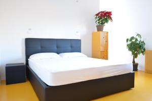 ein Bett in einem Zimmer mit Kisten und Pflanzen in der Unterkunft Nomad Hostel in Treviso