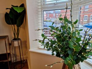 a vase with a plant sitting on a window sill at Stylish Luxury Serviced Apartment next to City Centre with Free Parking - Contractors & Relocators in Coventry