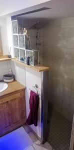 ein Badezimmer mit einem Waschbecken und einer Theke mit Handtüchern in der Unterkunft Joli cocon au pied des montagnes in La Côte-dʼAime