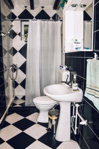 a black and white bathroom with a sink and a toilet at Villa Mihajlovo in Kavadarci