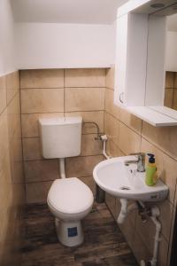 a bathroom with a toilet and a sink at Villa Mihajlovo in Kavadarci