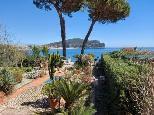 einen Garten mit Pflanzen und Bäumen und dem Meer in der Unterkunft Un letto a Gaeta - Villa a Fontania in Gaeta