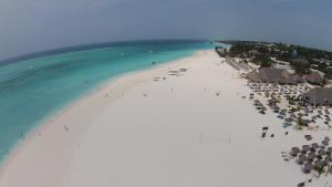 an aerial view of a beach with people on it at PalumboKendwa in Kendwa