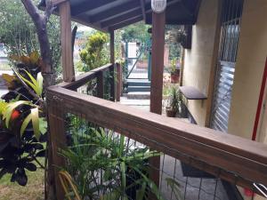 Vườn quanh Mini casa (kit net)