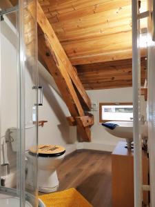 a bathroom with a toilet and a sink at Gite Les Loges d'Arbez in Septmoncel