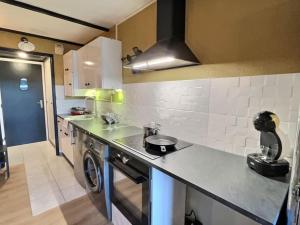 Kuchyňa alebo kuchynka v ubytovaní Appartement cosy - Le Chat Gris